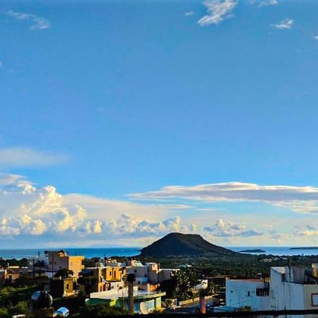 Knossos Apartments パレカストロ 部屋 写真