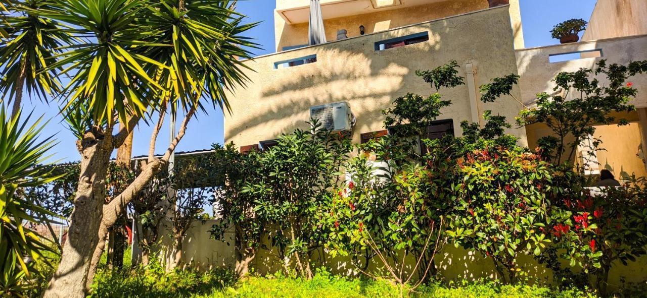 Knossos Apartments パレカストロ エクステリア 写真