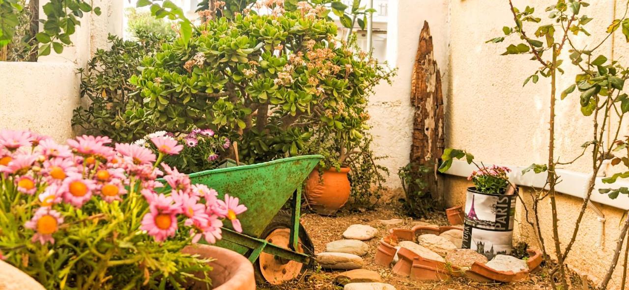 Knossos Apartments パレカストロ エクステリア 写真